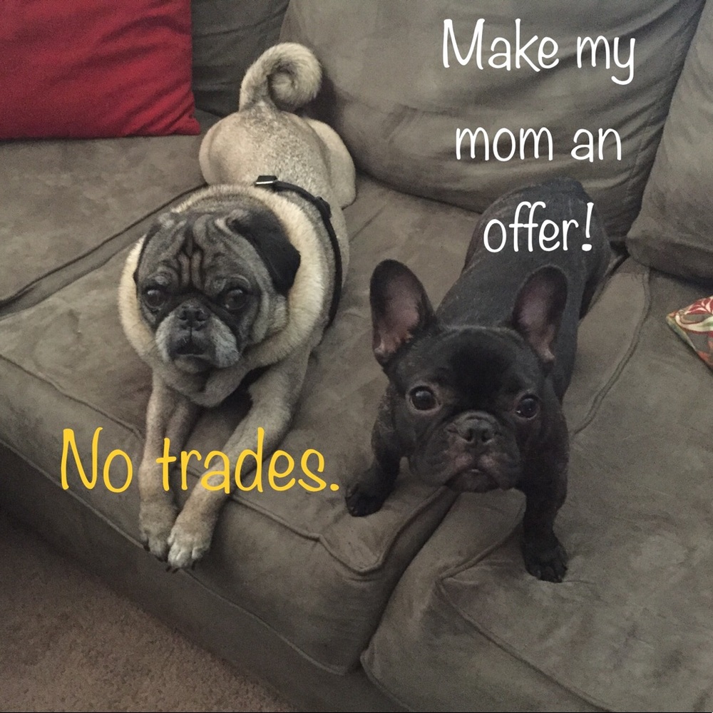 Don’t like the price? Make me an offer!